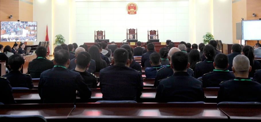 微信图片_20250427104028.jpg 微信图片_20250427104028.jpg