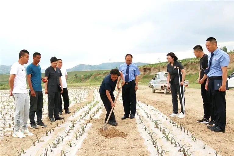 640 (2).jpg 640 (2).jpg