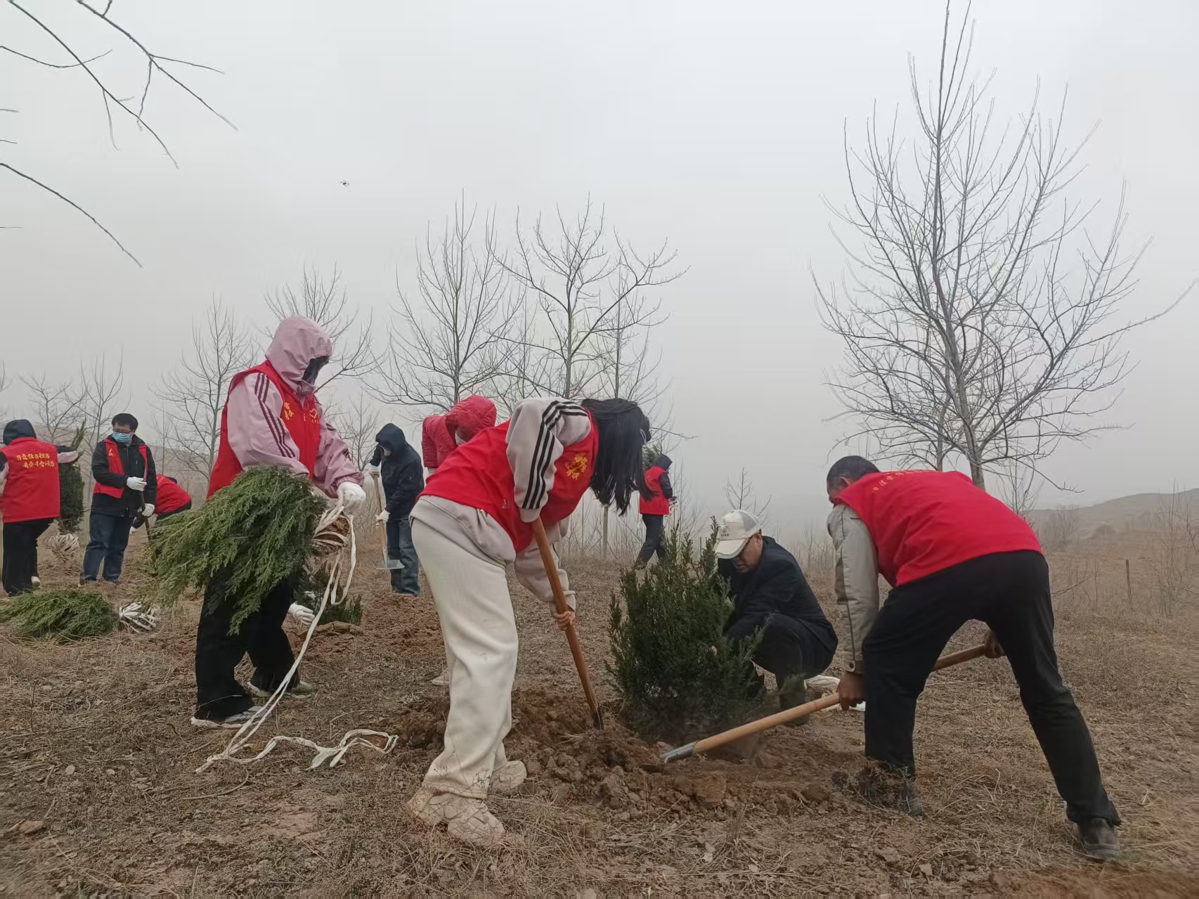 微信图片_20250418144806.jpg 微信图片_20250418144806.jpg