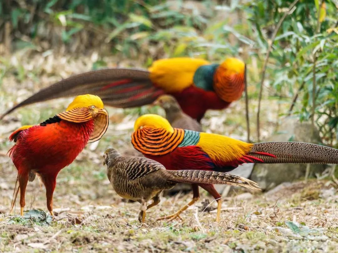 23a61d816c684eab3113a4cc3dd53307.jpg 23a61d816c684eab3113a4cc3dd53307.jpg